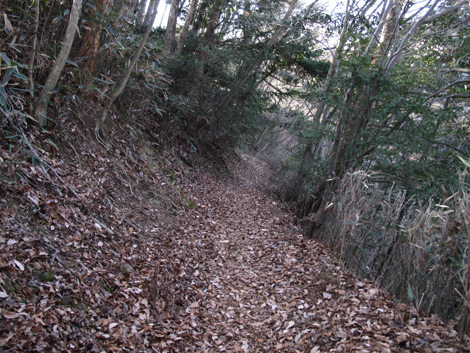 20190108hike (19)